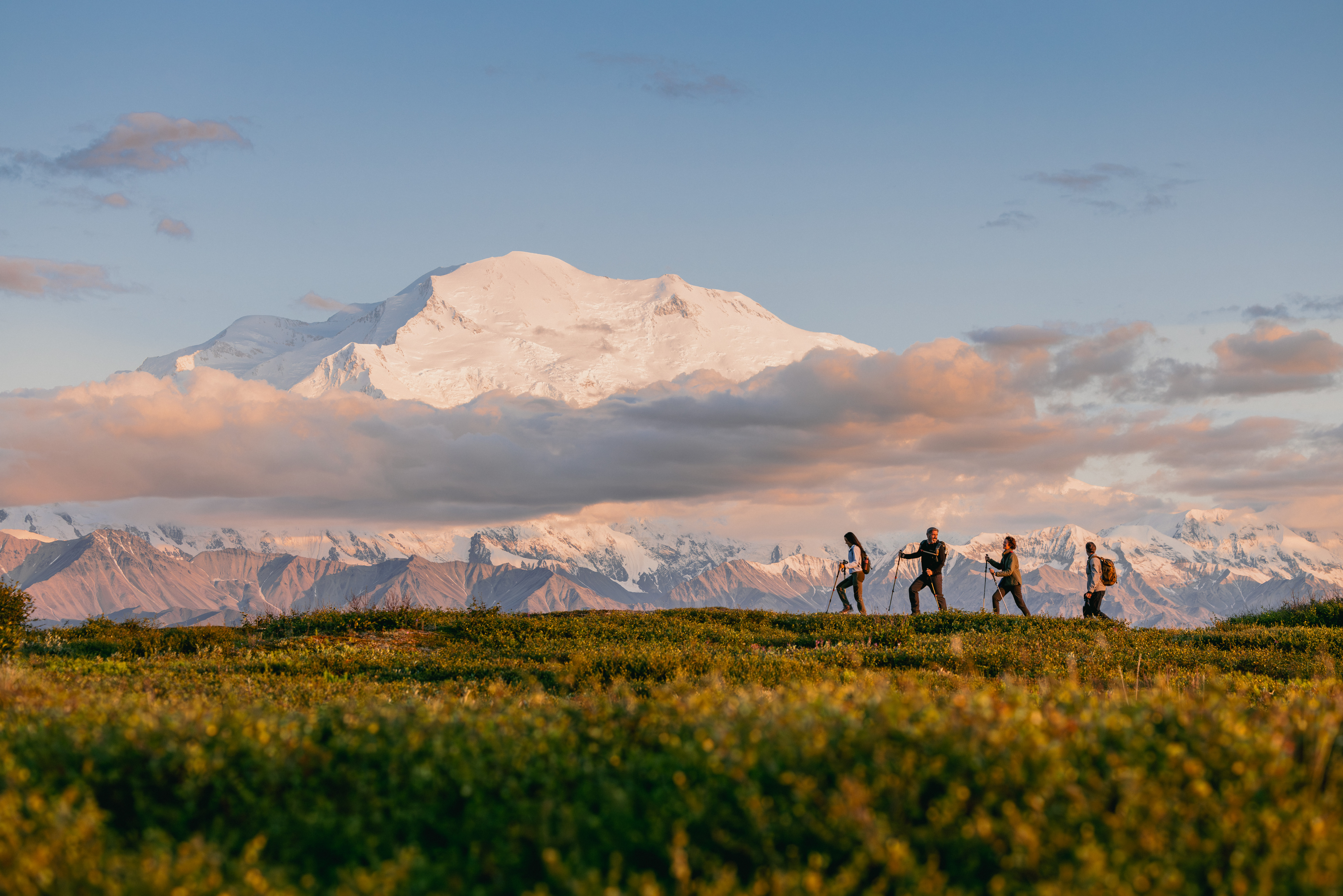 Four hikers crossing tundra with a snow-covered mountain in Denali National Park behind them.